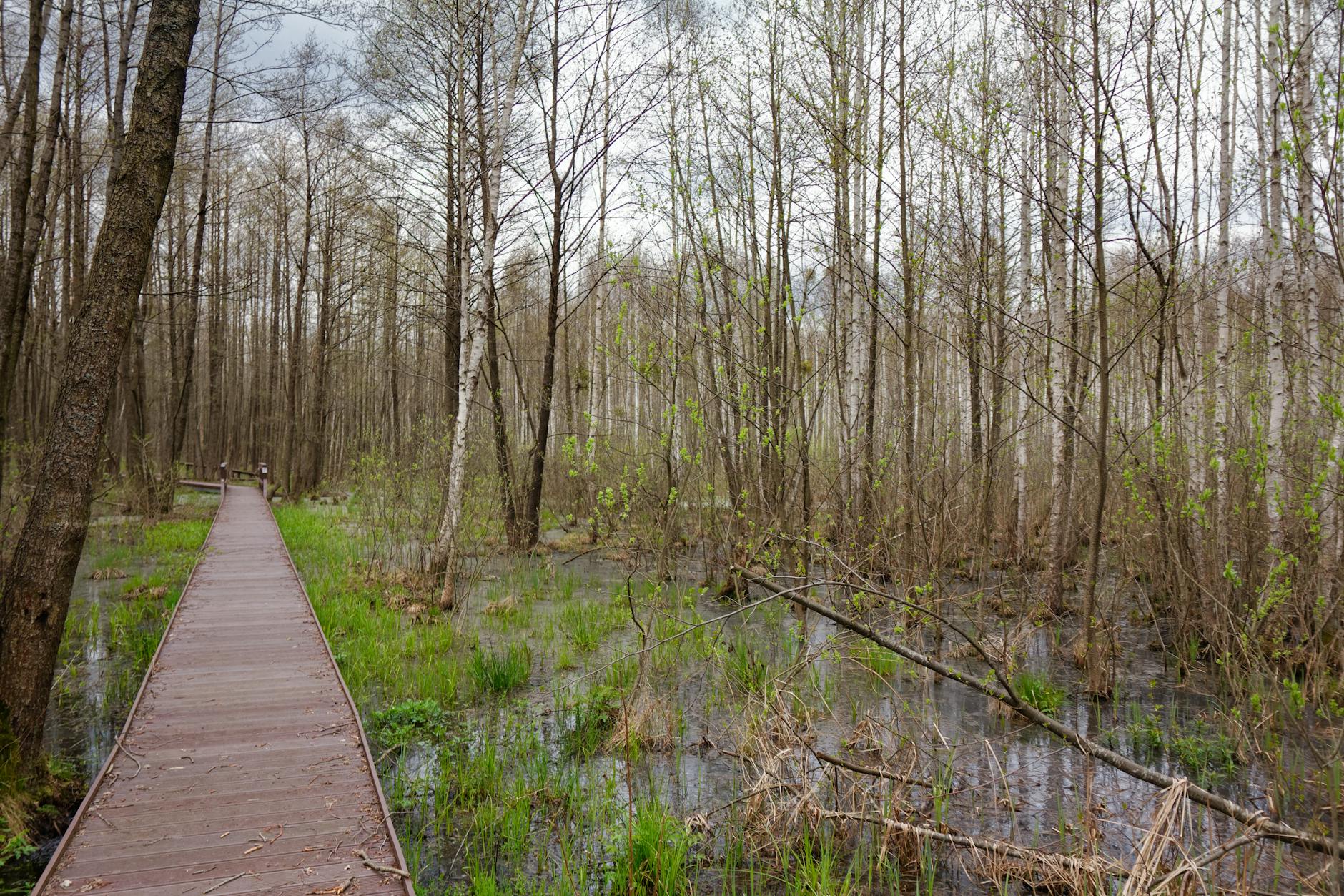 Mapa pokazująca infrastrukturę i usługi w Sokołowie Podlaskim
